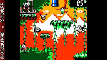 Game Boy Color - Game & Watch Gallery 3 - Donkey Kong Jr. © 1999 Nintendo - Gameplay