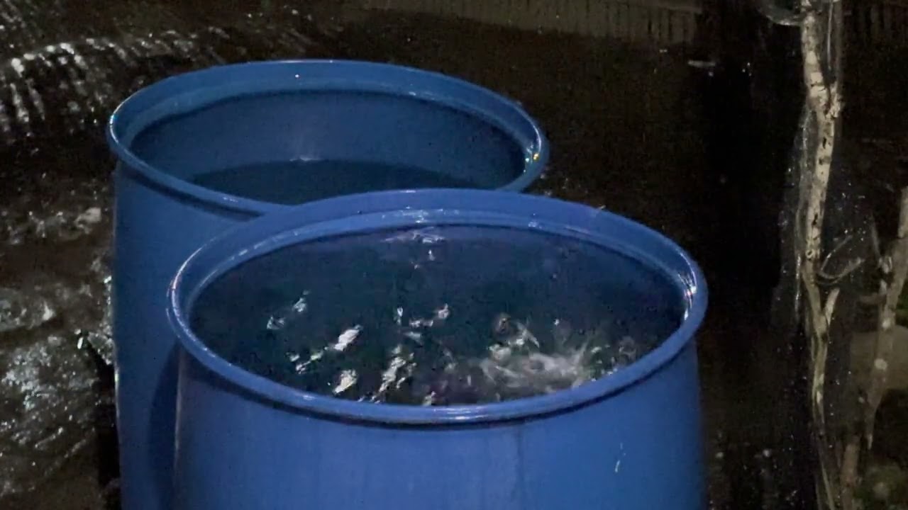 Great for relaxing and deep sleep. rain sounds in hitting barrel,Study, insomnia, Reduce Stress.