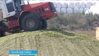 Беженцы в Грачевке Беженцы в Грачевке