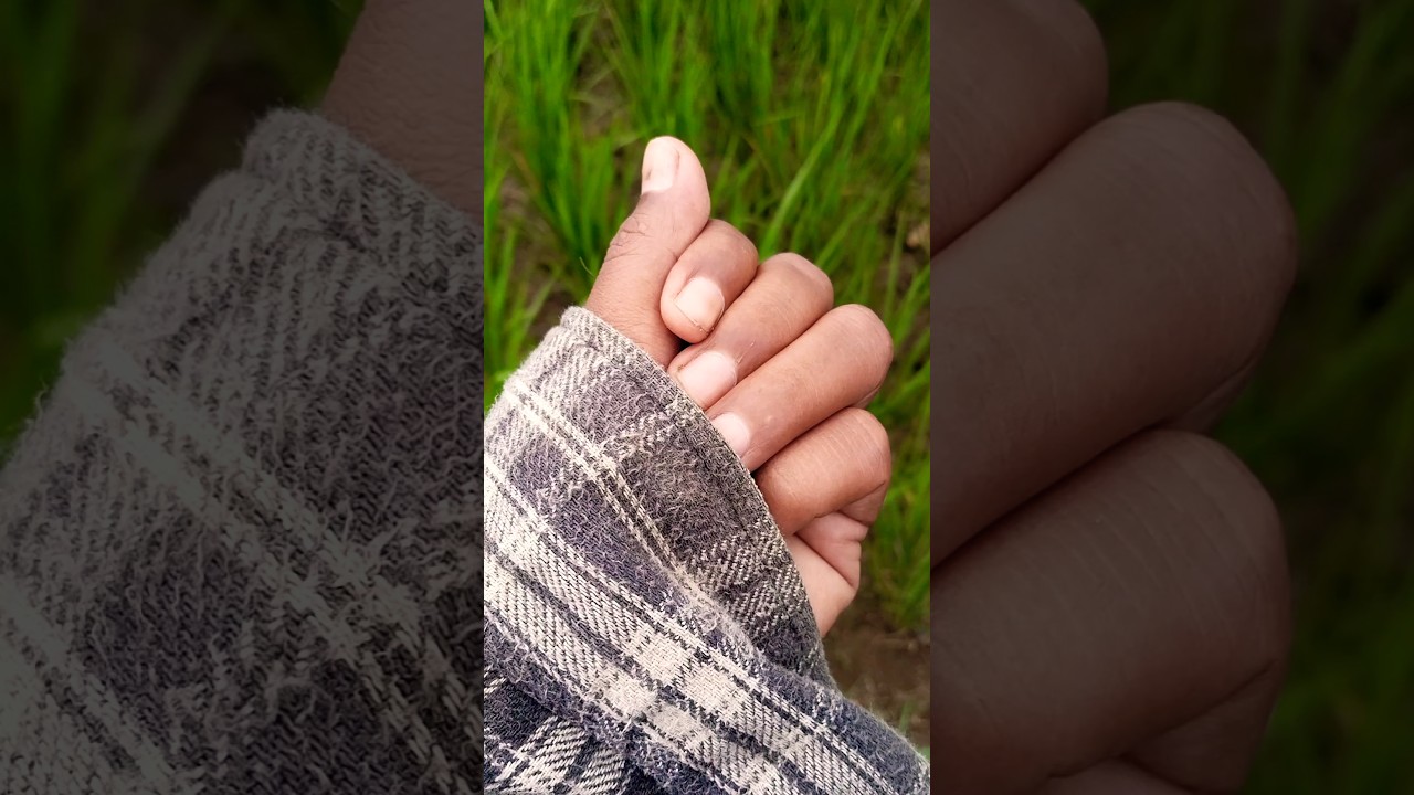 the bigger grasshopper jumped first