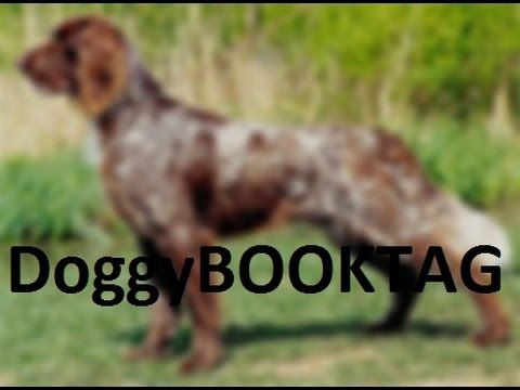 Doggy BOOK TAG