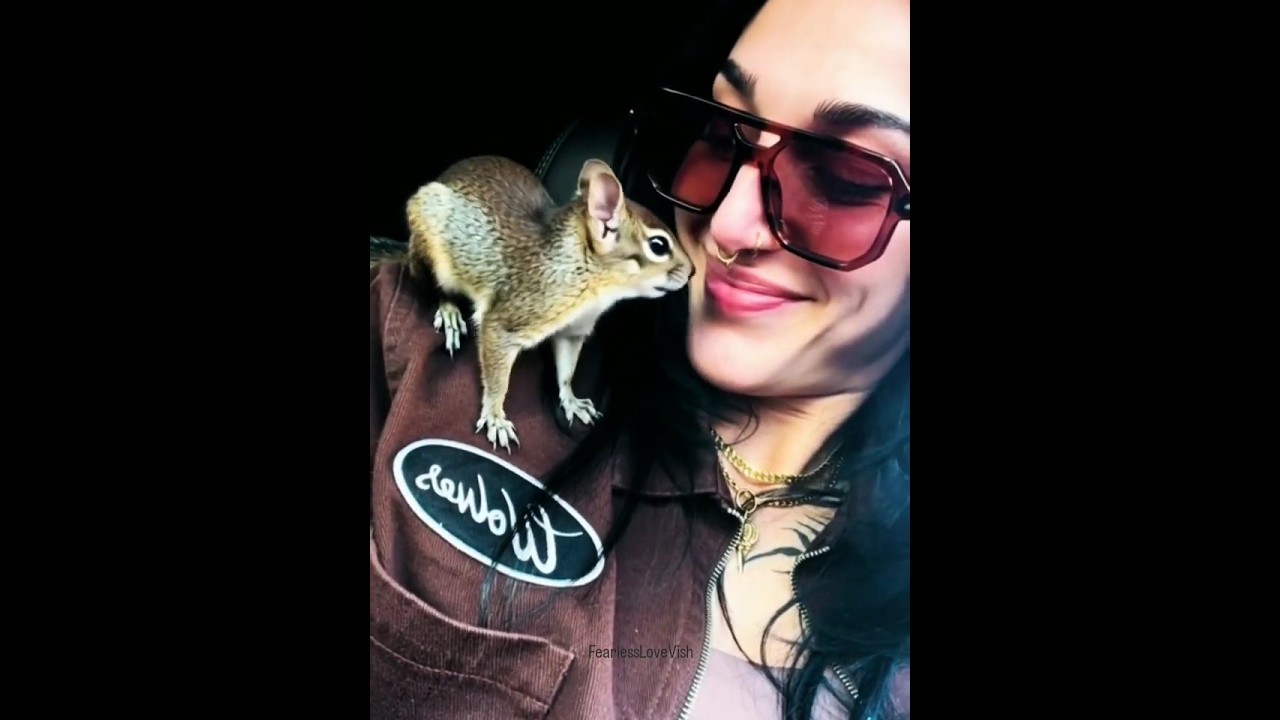 Squirrel Goes Fearless on Mami Rhea Ripley's Shoulder! 🐿️ 😘 #shorts #rhearipley