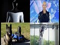 Battle of the Robots (Tesla Bot, Sophia the Robot)