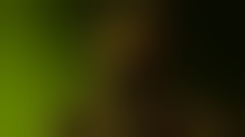 Fnaf 3 Springtrap voice lines Animated test in (Prisma3D).🐰🪤