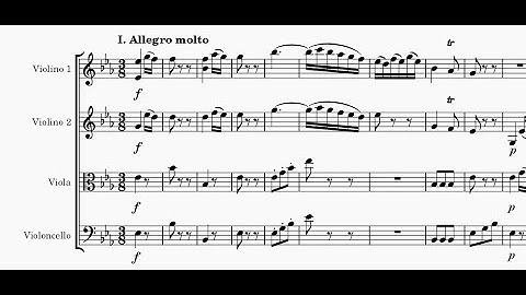 F. J. Haydn - String quartet in E flat major Op.1 N.2 Hob. III: 2 - I. Allegro molto