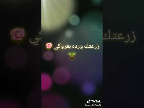 اجمل صوت فتاة زرعتك وردة بعروكي 