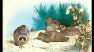 Eski̇ Toprağin Sesi̇ İçmem Seni̇ Bundan Sonra. Hazirlayan :Temel İnternet Cafe