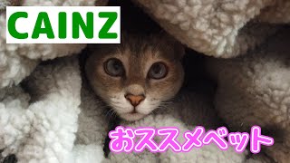 カインズで新しい猫用ベットを買ったら大当たりでした