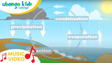 The water cycle | Music Video |  Lets Learn together | Ubongo Kids