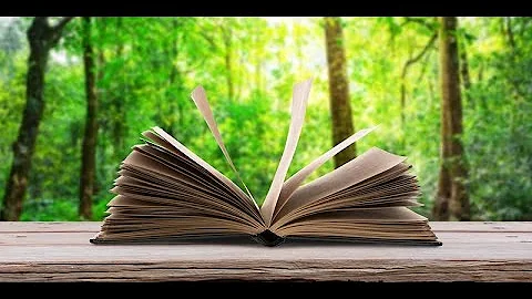 The Nature of the Curriculum: How the Education Sy...