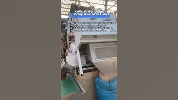 Nuts Color sorting machine  sorting dried apricot slices #colorsorter #farming