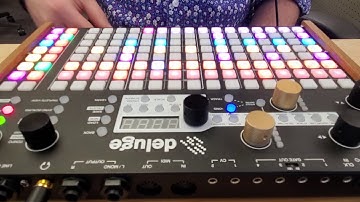 Four - a single synth jam on my Synthstrom Deluge