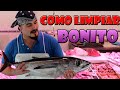 Como Limpiar un Bonito o Atún