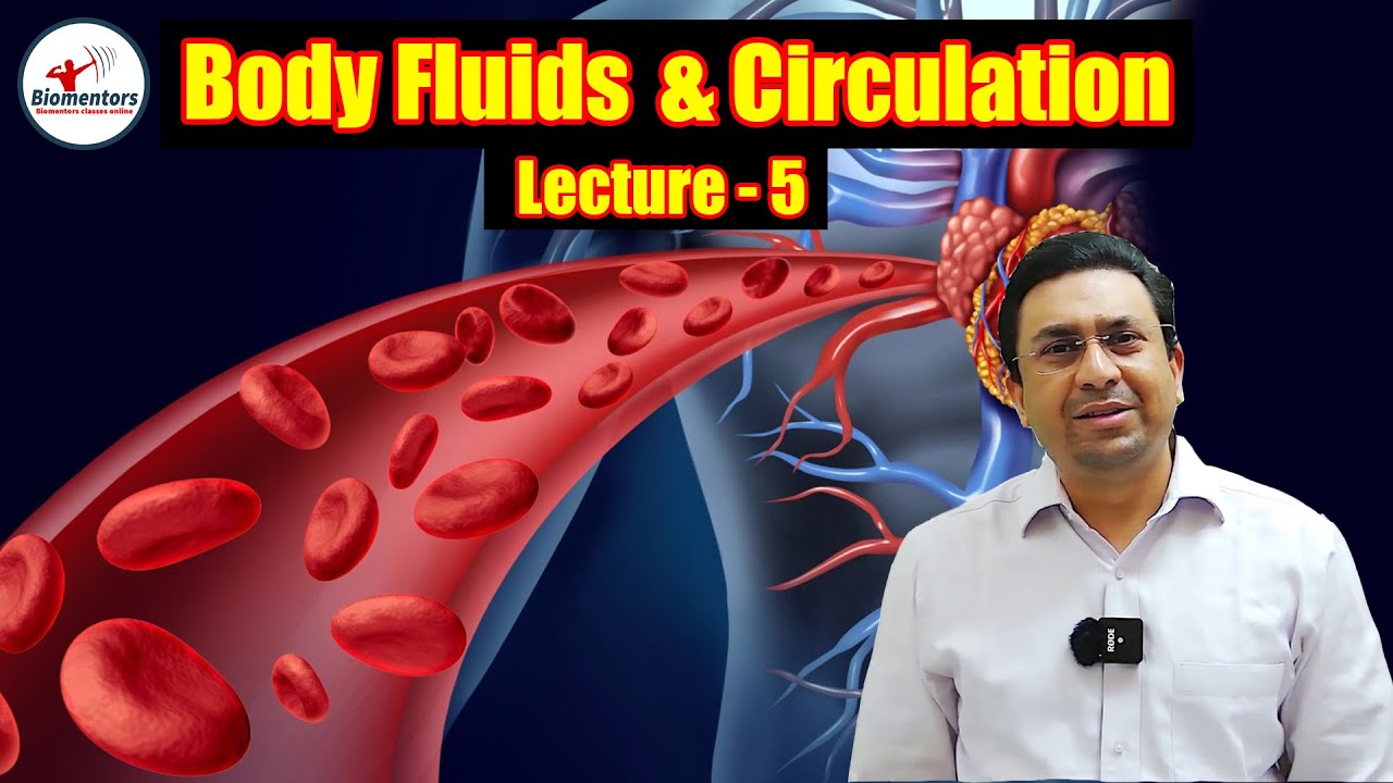 Body Fluids & Circulation l Lecture 5 l Biology l NEET