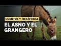 El asno y el granjero | Cuentos &amp; Metáforas para Sanar