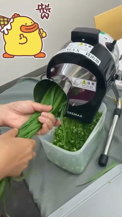 DX-50B Desktop green onion machine