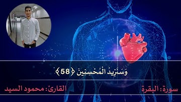 سورة البقره من آيه ٤٤ إلي ٧٤ 🌷