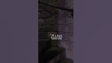 تلاوة خاشعة لآيات من كتاب الله #القرآن_الكريم #الله #اكسبلور #foryou #راحة_نفسية #viral  #coran#