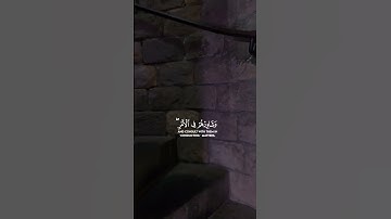 تلاوة خاشعة لآيات من كتاب الله #القرآن_الكريم #الله #اكسبلور #foryou #راحة_نفسية #viral  #coran#
