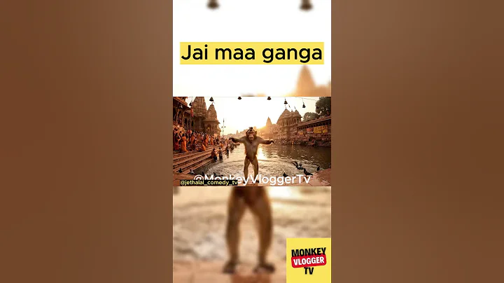 Monkey Vlogger’s Ganga Snan – "Jai Ganga Maiya!" 😄🌊 #Shorts