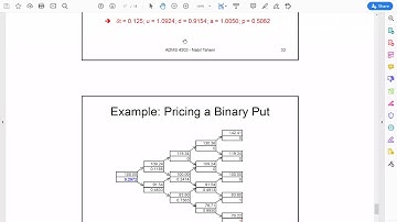 Binomial Model   Exotic Payoff