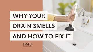 WHY YOUR DRAIN SMELLS AND HOW TO FIX IT by Home Made Simple 3,217 views 2 years ago 1 minute, 19 seconds