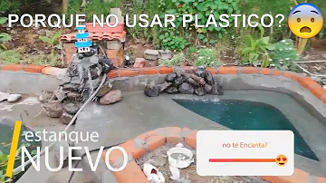 ¿Qué poner en un estanque para peces koi?