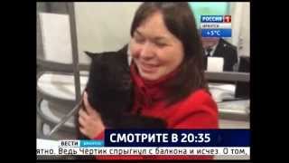 История кота путешественника в прямом эфире "Вести-Иркутск" История кота путешественника в прямом эфире "Вести-Иркутск"