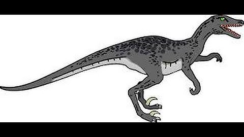 How to create a program with Raptor