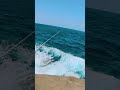 #fishing #sydney #australia #youtubeshorts #shortvideos #viralvideos #india
