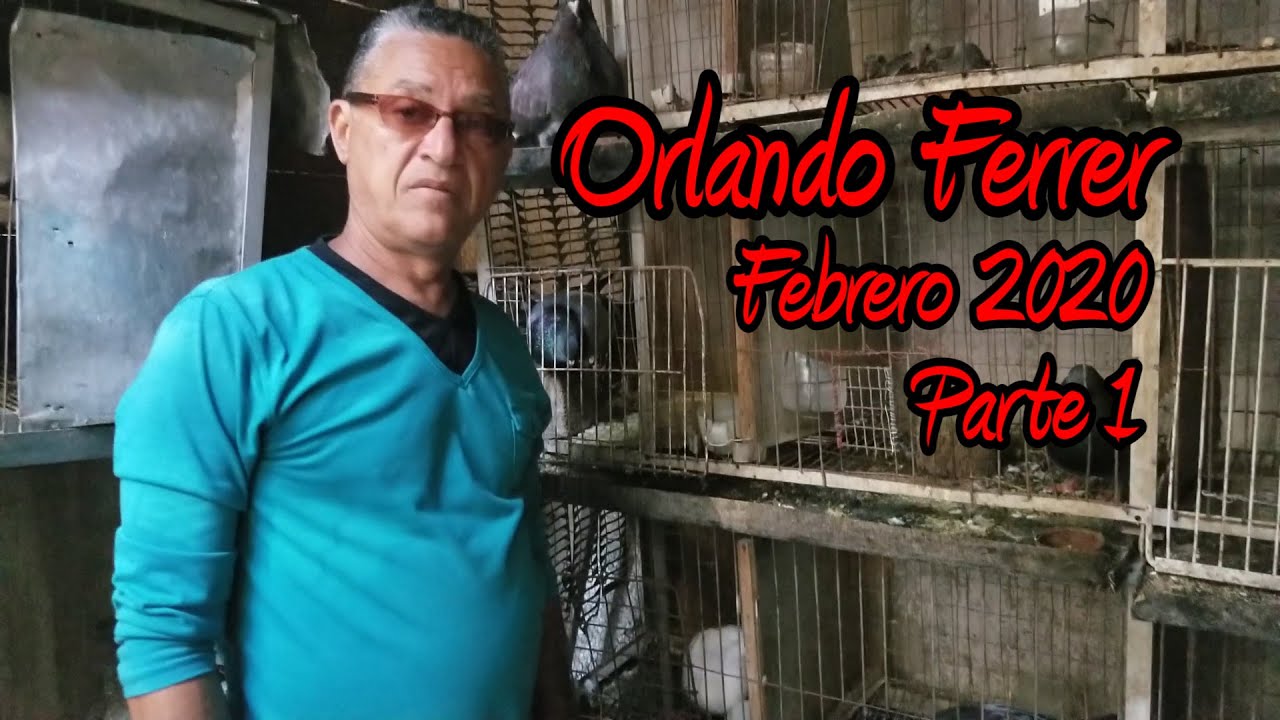 Palomar de Ferrer / Febrero 2020