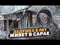 ДЕДУШКА ВЫЖИВАЕТ В ХОЛОДНОМ САРАЕ В ЛЕСУ. ЖИЗНЬ ЛЕШЕГО. Что стало с бездомным Сашей?