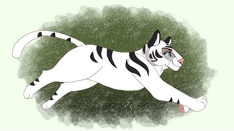 Dutchess Run Process (Tiger Run-cycle) || Commision