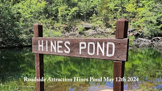 Hines Pond US Hwy 41S Tracy City Tn May 12 2024 Mothersday Video #travel #travelvlotg #fishing