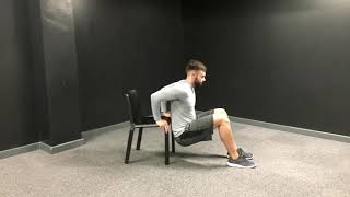 Bw- Chair Dips