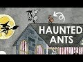 HAUNTED HOUSE - An  Ant Illustration