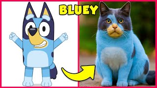 BLUEY sebagai KUCING 💙😾   Tebak Suaranya! 🔊 Bluey, Bingo, Socks, Chilli, Bandit