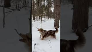 Heating therapy braces help to alleviate stiffness after playing in the snow