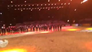 Hoys 2014 finale. Arena party