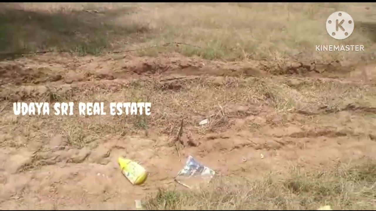 Udaya sri real estate