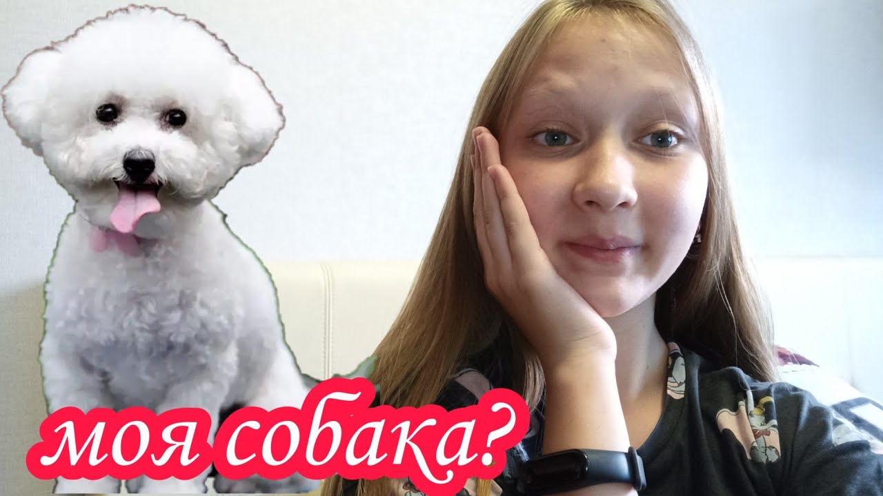 Как у меня появилась собака?????!/какая порода моей собаки?! - YouTube