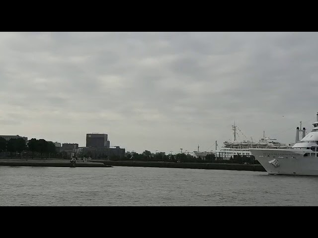 AIDAperla & Seven Seas Navigator ontmoeten elkaar in Rotterdam