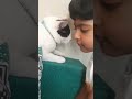 #funnyvideos #cat #cute #tranding #viral #short