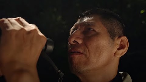 Monitoring Birds to Measure Forest Health | Miguel’s Story from Guatemala