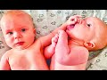 Awesome Twin Babies Playing Together  - Twin Babies Video