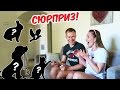 У НАС ПОЯВИЛСЯ ДОМАШНИЙ ПИТОМЕЦ!