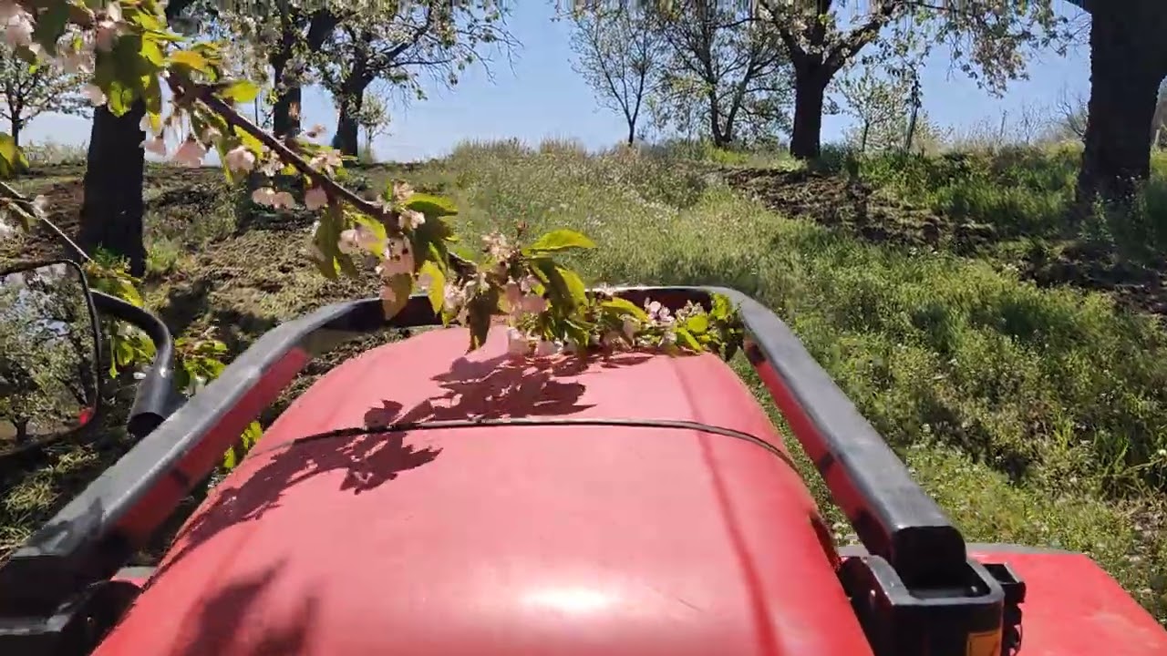 Antonio carraro TC 5800f Major