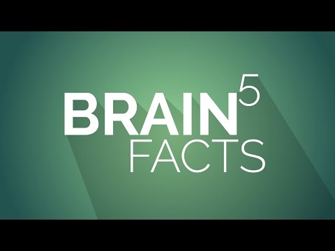 Video: These 5 Brain Facts Will Change Your Life