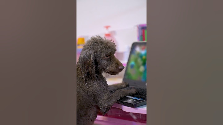 Son and mother battle wits and courage in pig pen online（part1） #guige #comedy #tricky #funny（part1）