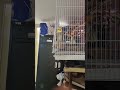I won't let you out